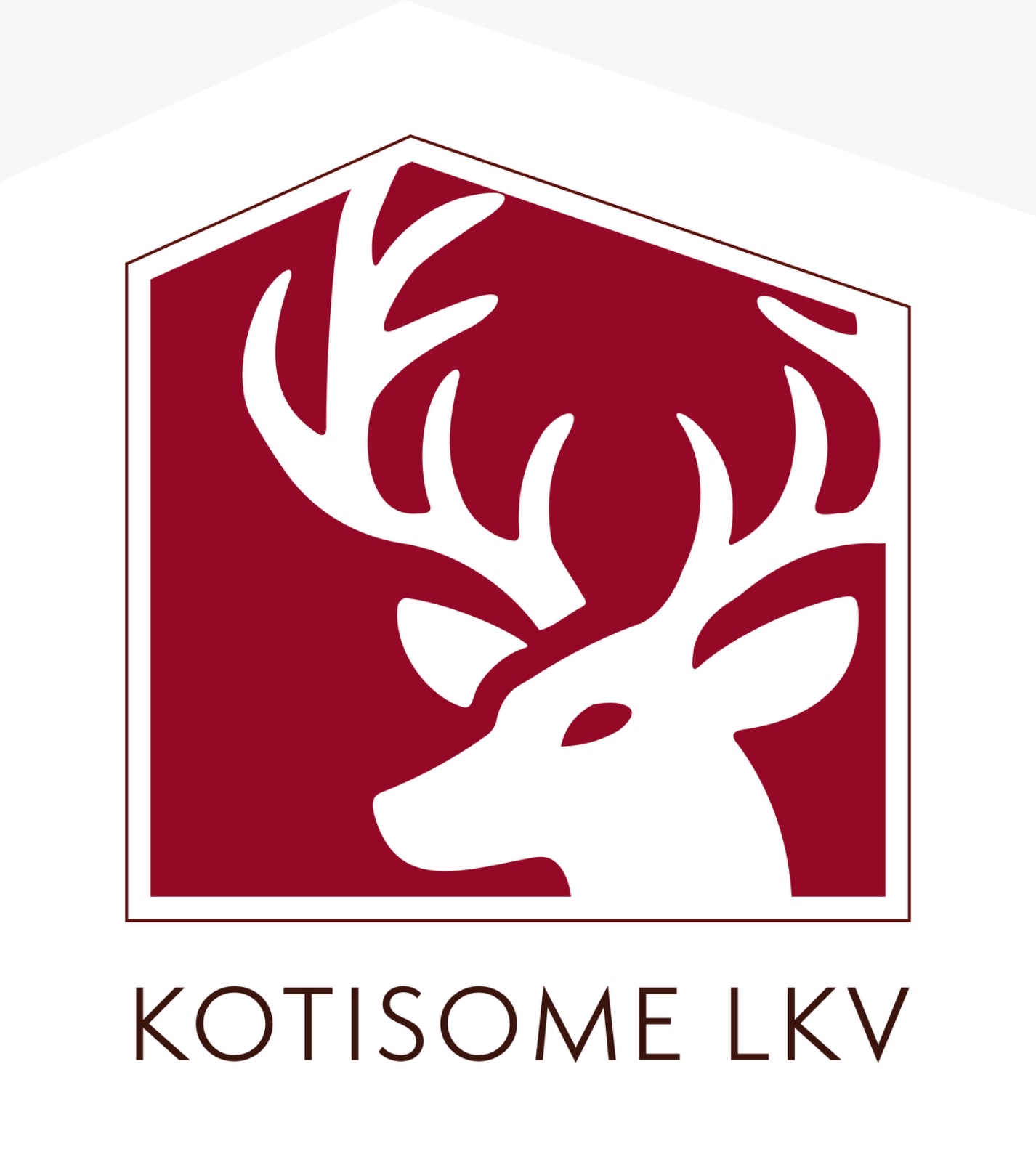 KotiSome LKV asiakastarina